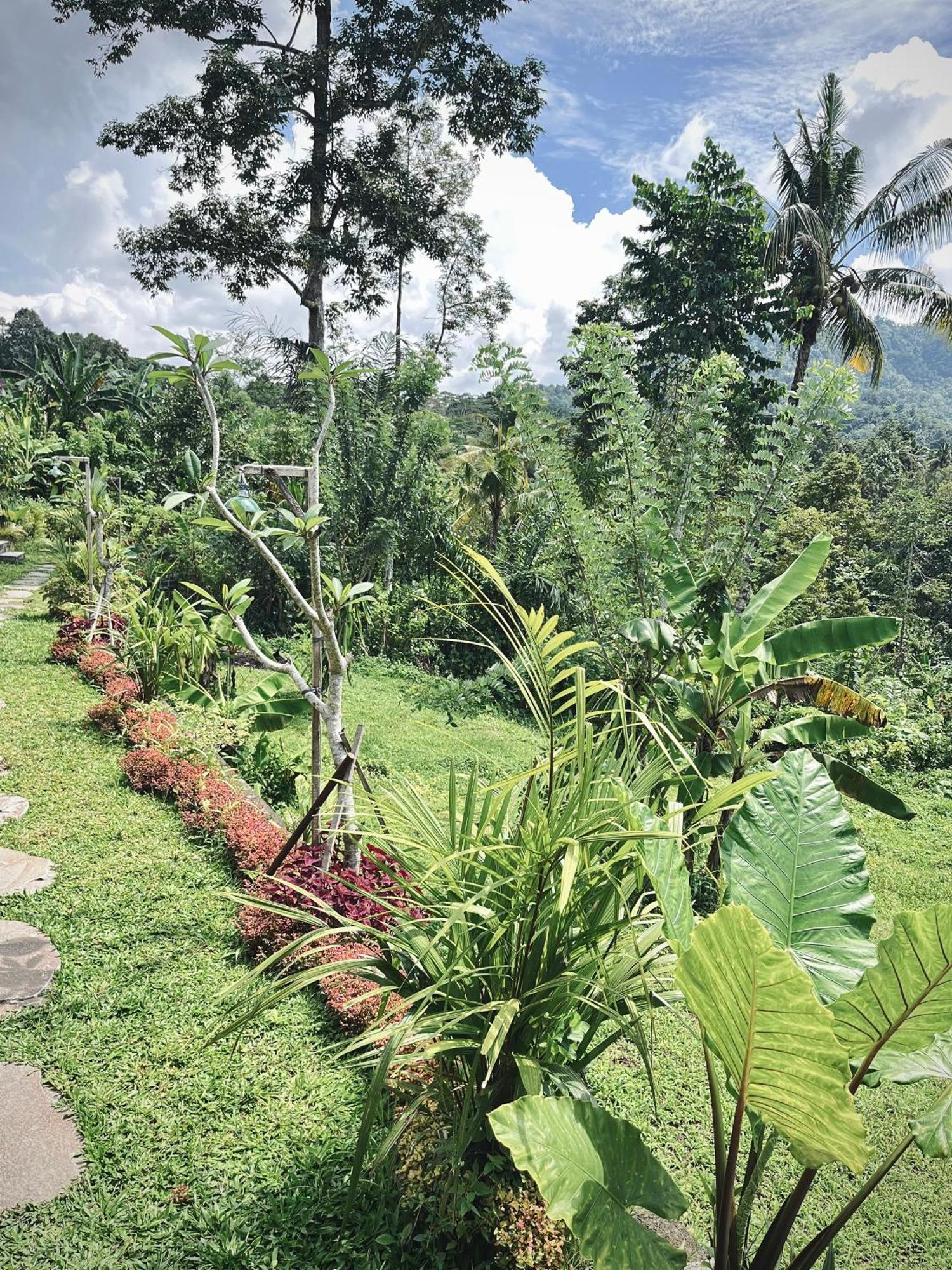 Papahan Bali Sidemen  Exterior foto